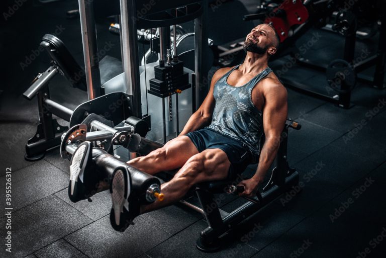 Leg Shredder Program 12 Week Workout Plan